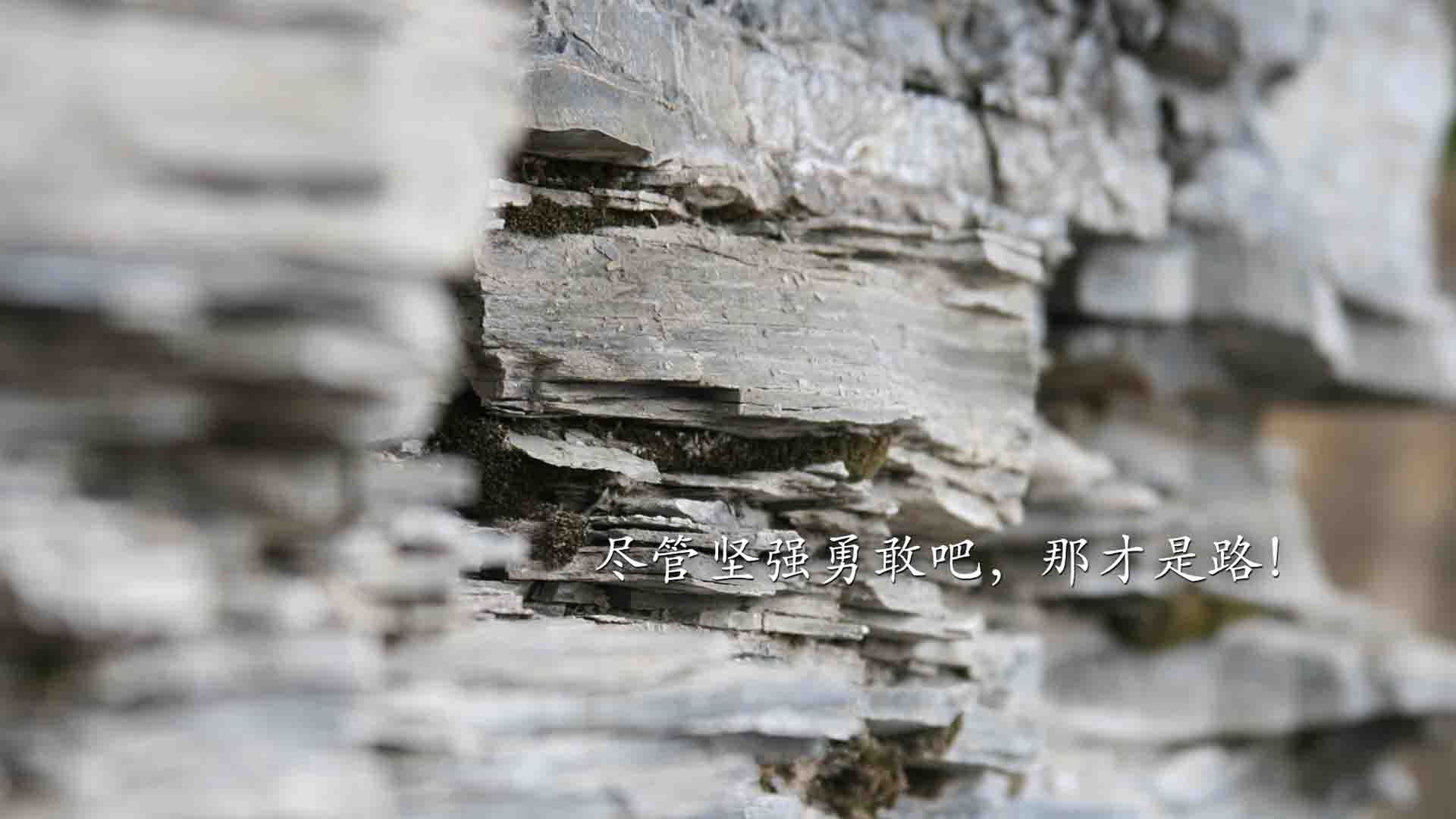 九游电竞官网-“未来之星”青少年青训创新联盟在上海正式成立，助推行业高质量发展