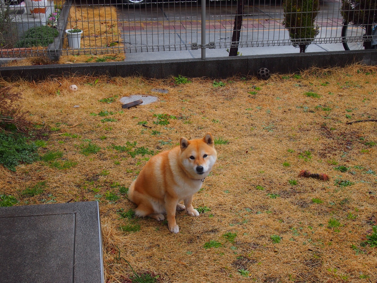 九游网-“校园足球升级，打造全民运动新风潮”，校园足球新政策