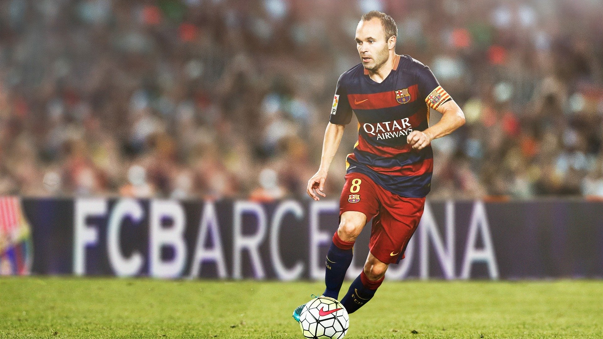 Jiu You-自由泳冲刺朝鲜展现速度优势波兰男队自由泳展现强劲爆发力